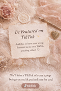 TikTok Feature Add-On